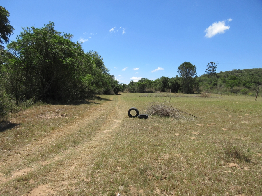 0 Bedroom Property for Sale in Bathurst Eastern Cape